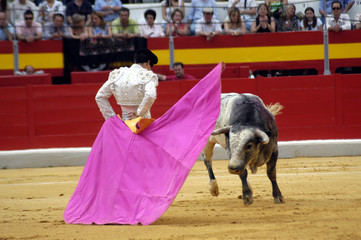 Fototapeta na wymiar matador-78