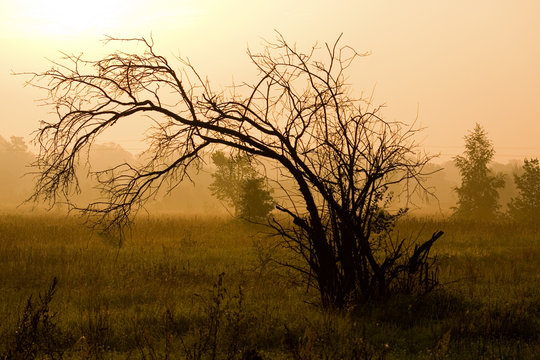 Fototapeta sunrise in poland