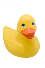 rubber ducky