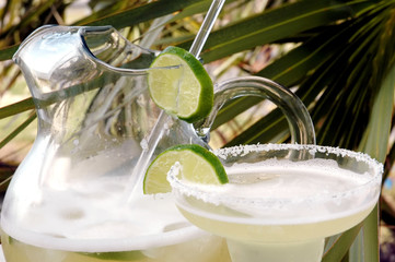 margarita