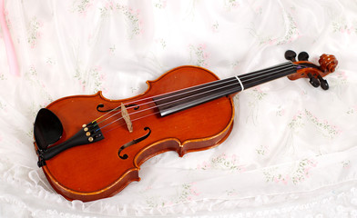 Fototapeta na wymiar violinist in white