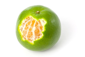 single green mandarin orange