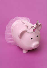 piggy bank © Stephen Coburn