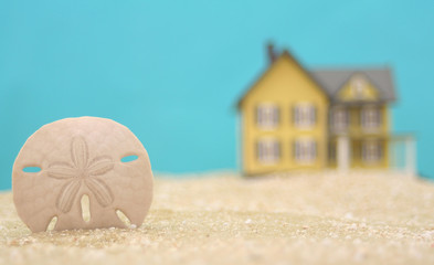 Sand Dollar and House