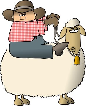 sheepy rider