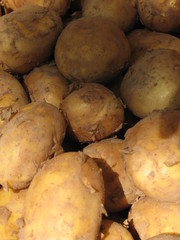 Kartoffeln