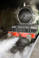 Naklejka premium age of steam