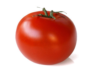tomato isolated on white