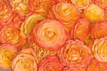 wedding bridal roses from above, from top