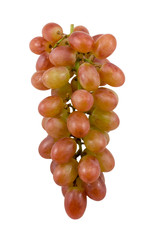 red grape isolated on white