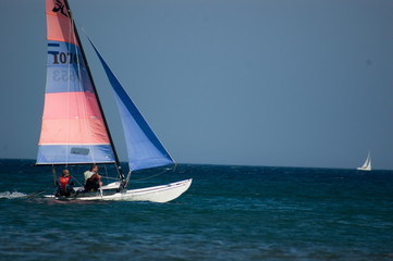 Naklejka premium Catamaran