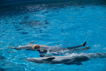 Swimming tith dolphins © bedecs