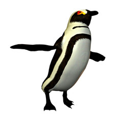 A happy dancing penguin boogies away!