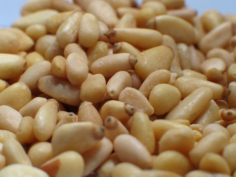 pignons de pin