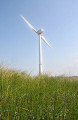 Wind turbine in the dunes