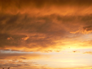 CIEL