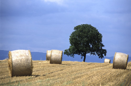 bottes de paille