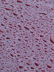 Magenta waterdrops texture detailed background 2