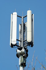 Mobile phone mast