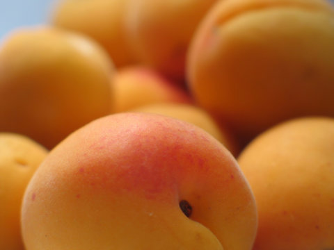 abricots