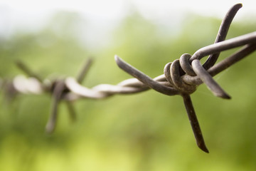 A barbed wire closeup