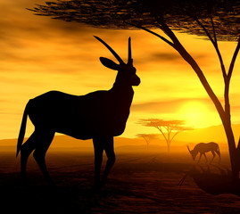 African Spirit - The Antelope - 3549030