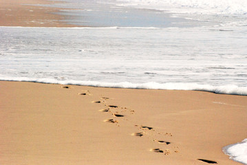 traces de pas