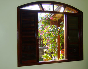 Home window view 