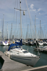 Fototapeta premium Yachts