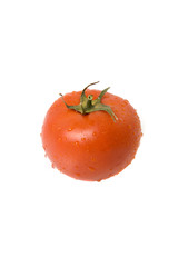 tomato 