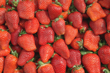 Fraises en vrac sur l'étal du marché