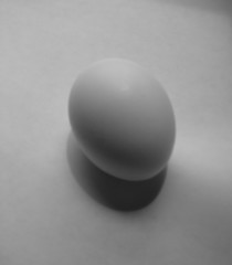 egg shadows