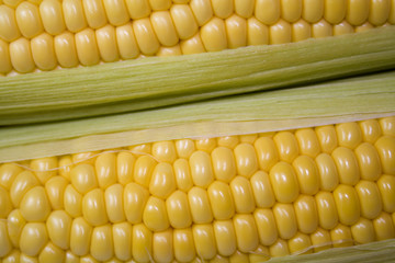 Corn 2