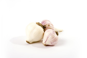 garlic