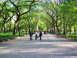 Fototapeta na wymiar Spacerując w Central Parku