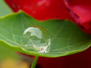 Wasserblase