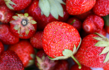 red strawberry as background