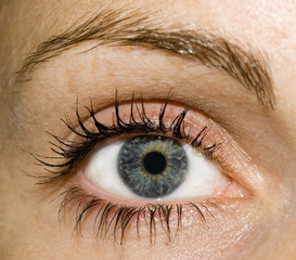 Eye of Girl in color