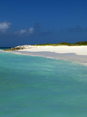 Wonderful green sea and beautiful beach in a tropical landscape