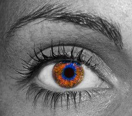Fototapeta premium Eye of female