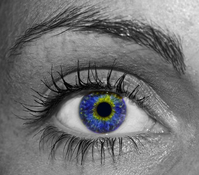 Blue Eye of girl