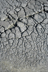 Muddy volcanoes (in Buzau, Romania), the dry, cracked ground