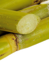 isolated raw sugar cane