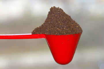 Scoop & Coffee