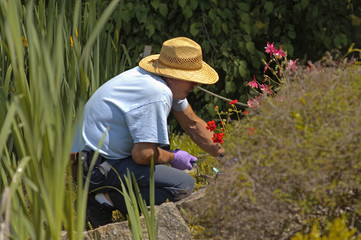 The Gardener Gardening in the Garden Pond