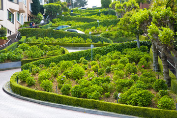 View of Lombard Street, the crookedest street in the worl