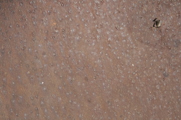 texture of rusty metal