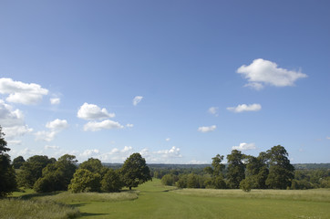 A view across parkland with oak trees in Kent, England