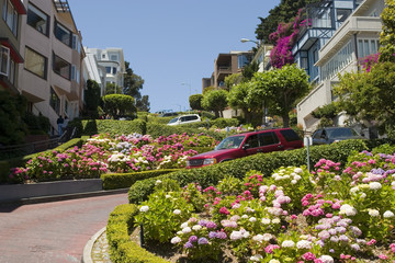 Lombard Street San Francisco