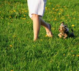 girl with dog on the grass